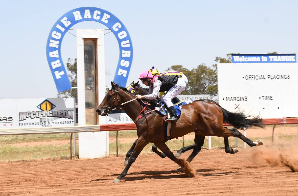GOT THEM: Ashley Boyd and Gadfly edge out Michael Wade and Purest in the Landmark Warren Rabbit Trap Hotel and Louis Dreyfus Open Trophy Handicap (800 metres). Photo: AMY MCINTYRE