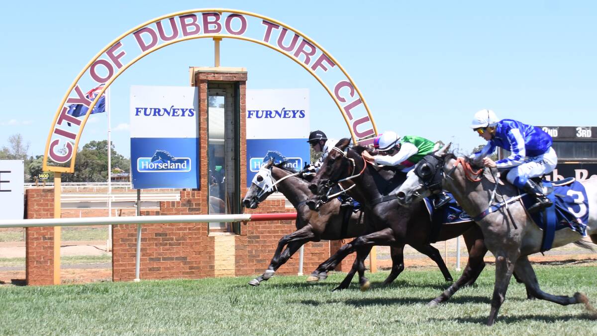 'DO YOUR BEST': Grant Buckley (green silks) and Ramingining edge Ourtheo (front) by just 0.01 of a length in race two at Dubbo. Photo: AMY MCINTYRE