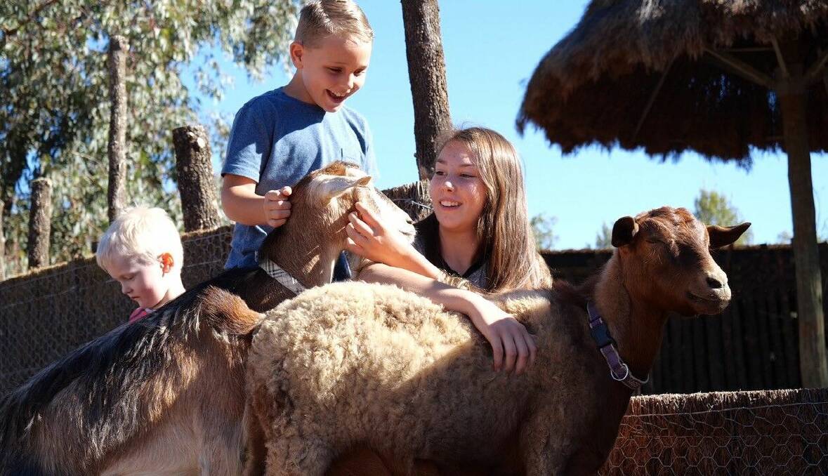 Hands On Experience: The Goat Kraal educates visitors about the conservation of African lions and lets people get up-close-and-personal. Photo: Belinda Soole.