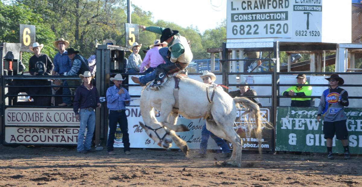 Hanging on: Saddle Bronc and Bareback have very different riding styles but the same goal- hang on and stay on for eight seconds. Photo: Taylor Jurd.