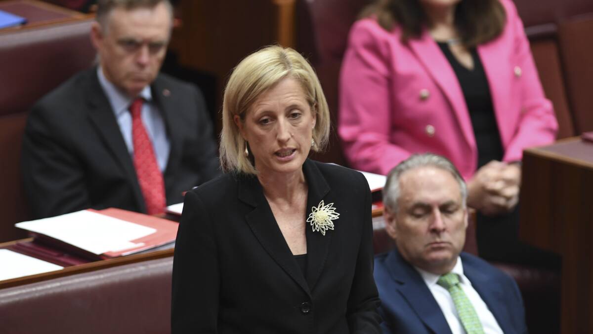 Labor Senator Katy Gallagher addresses the Senate as she refers herself to the Court of Disputed Returns in the Senate chamber at Parliament House in Canberra, Wednesday, December 6, 2017. AAP /Lukas Coch