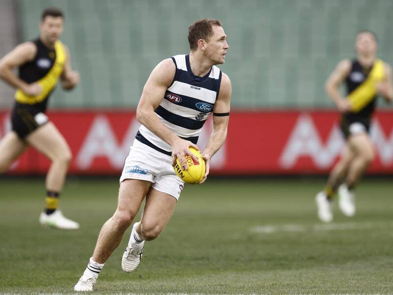 Geelong's Joel Selwood is expected to be ruled fit for their AFL clash against North Melbourne.