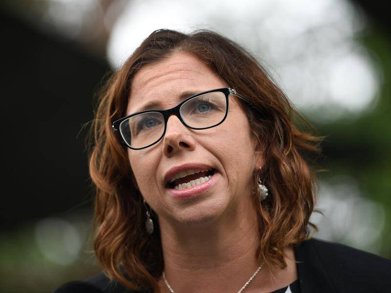 Labor frontbencher Amanda Rishworth says federal funding for preschool should be permanent.