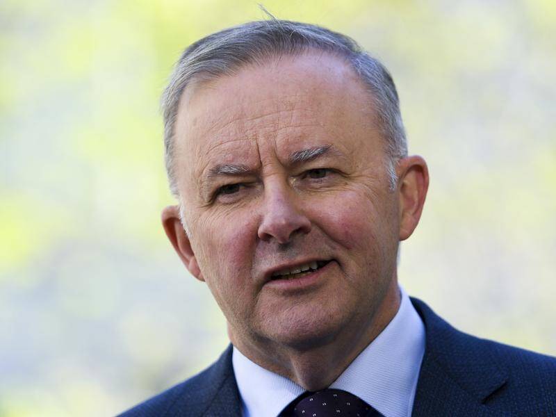 Anthony Albanese thinks it's possible the prime minister will call an election for December 11.