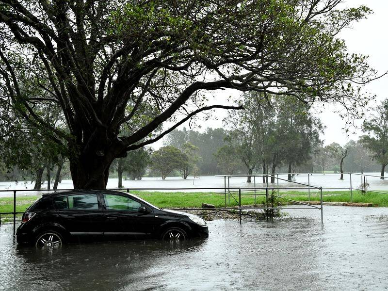 Wild weather in NSW has caused evacuations, widespread power outages and flooding.