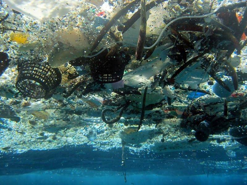 The federal government in 2021 said it would take the fight against plastic waste to a new level.