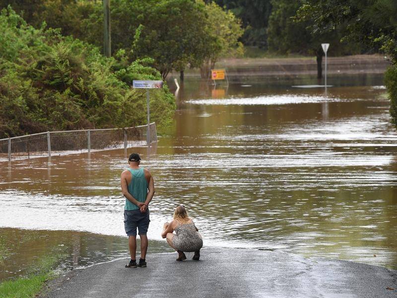 An independent flood inquiry has reportedly recommended ditching agency Resilience NSW. (Darren England/AAP PHOTOS)