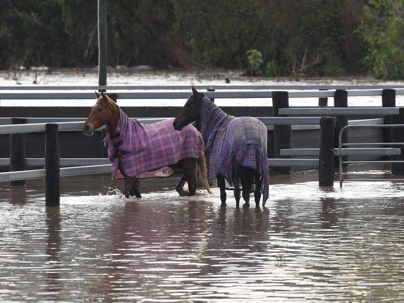 A low pressure system set to dump more rain on soaked catchments in much of Queensland.