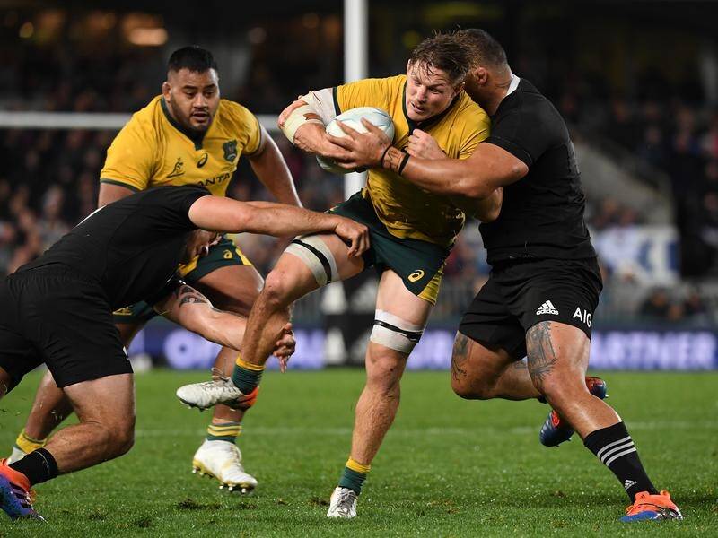 There are hopes the All Blacks and the Wallabies could yet meet in the Rugby Championship this year.