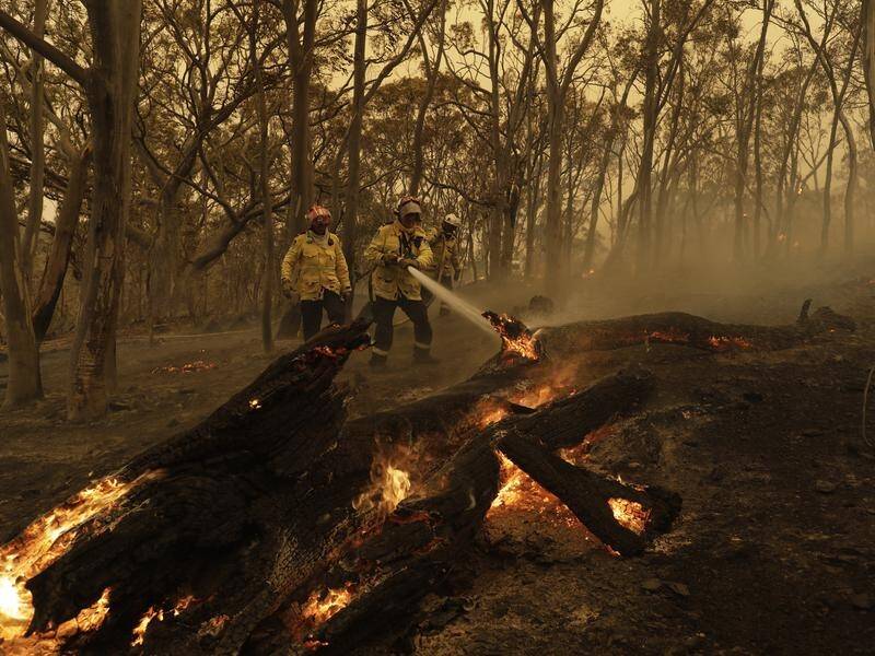 Hundreds of millions of dollars in bushfire donations still aren't reaching communities in need.