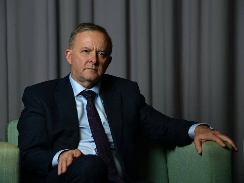 Opposition leader Anthony Albanese outlines his plans for a Labor government.