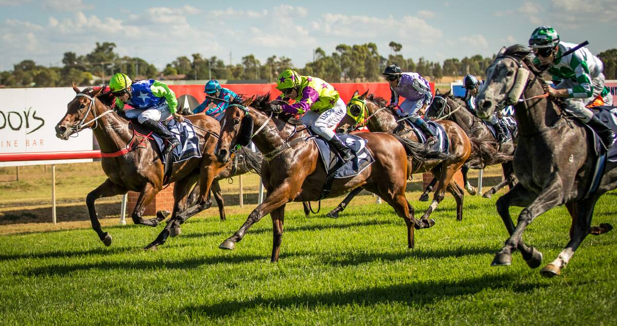 Yes Zariz (centre) battles out the Dubbo qualifier finish with Playing Game (inside) and Dane De Lago (outside). Photos: JANIAN McMILLAN (www.racingphotography.com.au)