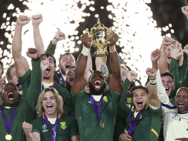 World champions South Africa will take on Scotland at home in July.