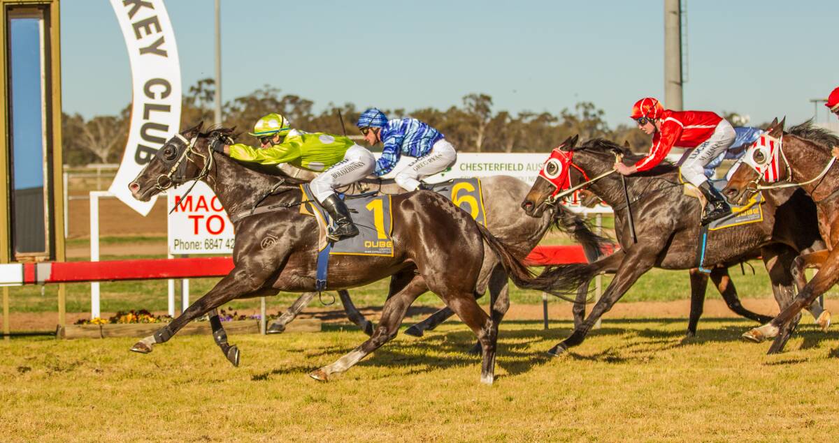 The Luke Griffith-trained Double Halo, ridden by Vad Bolozhinskyi, goes past the post to win the Cattleman s Cup at Warren yesterday.  
Photo: Janian McMillan (www.racingphotography.com.au)