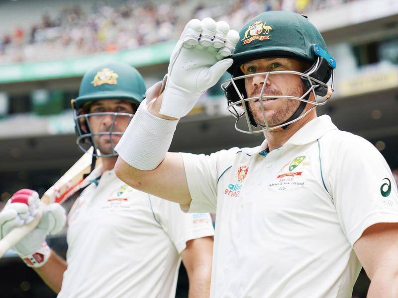 Joe Burns and David Warner have been a solid Test opening pair for Australia.