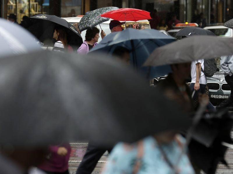 Rain and the chance of thunderstorms are predicted for Sydney, the NSW coast and other regions.