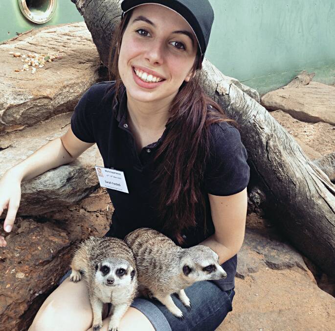 Magic meerkats: Year 12 student Sarah Fardell at Dubbo's zoo. October 4 is the day set aside for celebrating and acknowledging the incredible contribution of keepers throughout the world. 