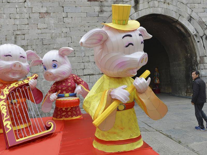 A symbol of prosperity, fertility and luck, the pig is the hero of Sydney's 2019 lunar festival.