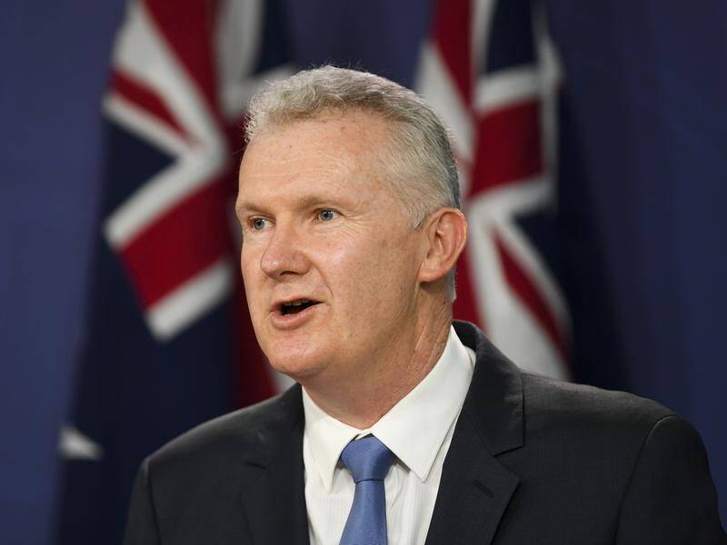 Tony Burke says the new Labor government is willing to fight for better wages for workers.