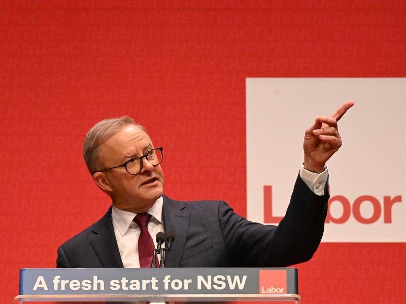 Prime Minister Anthony Albanese unveiled parental leave changes at the NSW Labor conference. (Dean Lewins/AAP PHOTOS)