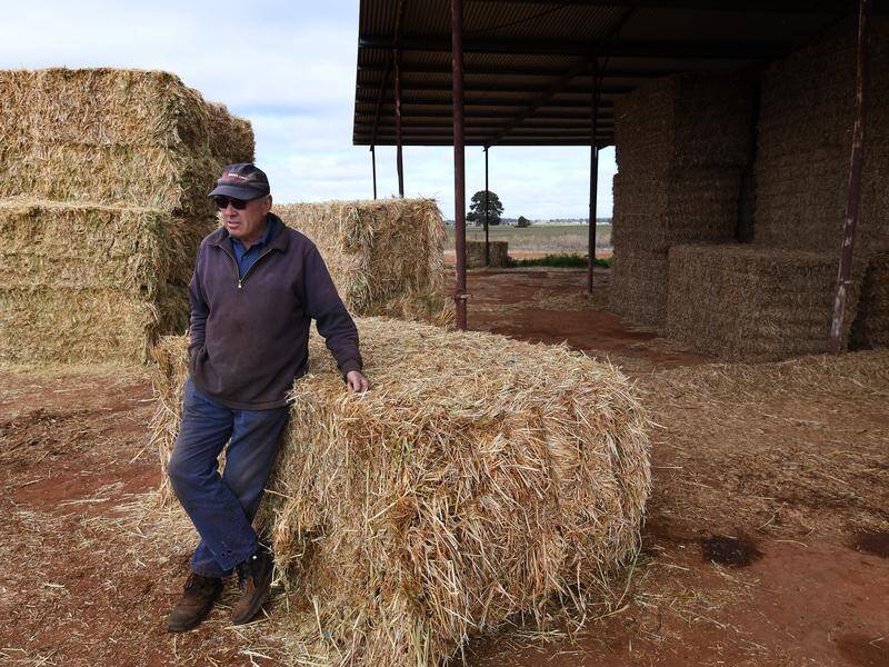 NSW central west farmer Wayne Dunford has spent $100,000 on freighted hay so far this year.