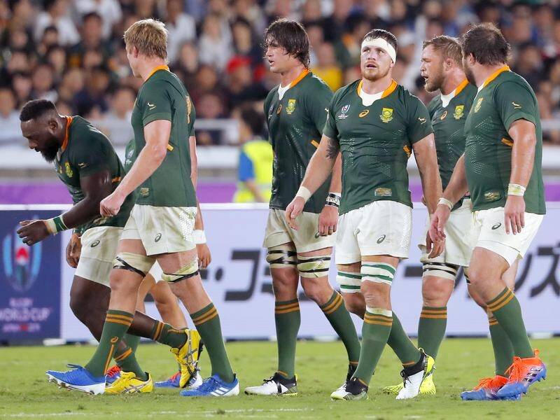 South Africa coach Rassie Erasmus has bemoaned his side's indiscipline against the All Blacks.