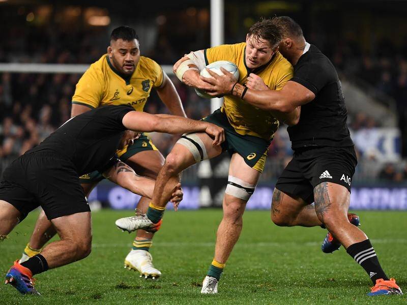 The Wallabies and All Blacks will clash at Marvel Stadium in 2020.