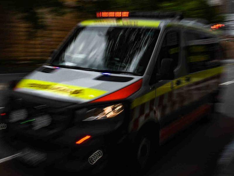 The boy was rushed to Westmead Children's Hospital but he later died.