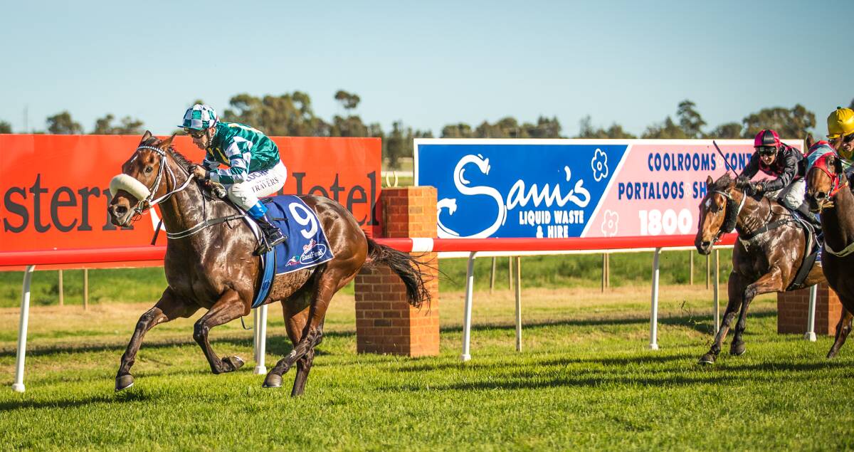 Saturday Supreme was for too good for her rivals when winning at Dubbo on Saturday. 	  Photo: JANIAN McMILLAN (www.racingphotography.com.au)