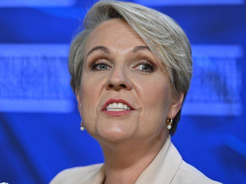 'In my judgment, what the environment really needs is to change the system,' Tanya Plibersek says.