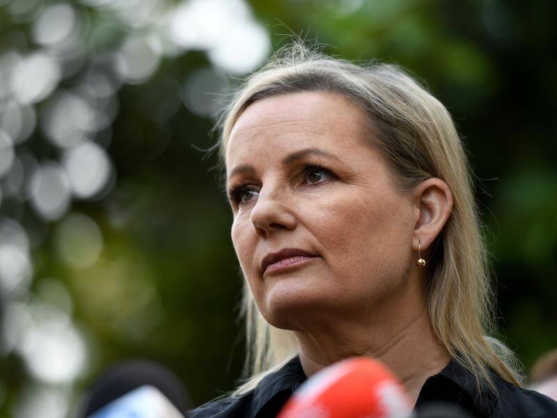 Environment Minister Sussan Ley says $100m in new funding will help protect ocean and marine life.