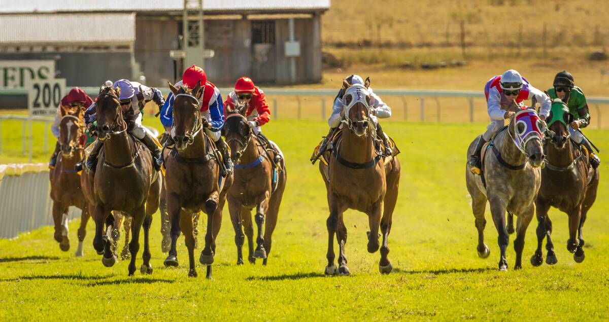 Highly Geared (blue sleeves, red cap) shoots to victory in the McDonalds McDash (900m) at Wellington on Sunday.  
Photo: SIMON THOMPSON (www.racingphotography.com.au)