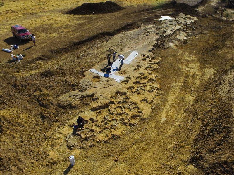 Gigantic dinosaur footprints preserved in an outback creek bed have been saved from the floods.