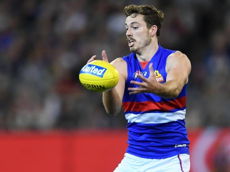 Zaine Cordy is expecting a stronger Western Bulldogs competing in this season's AFL.