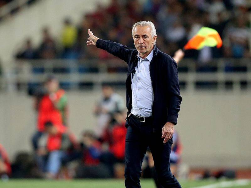 Dutchman Bert Van Marwijk has been sacked at coach of the UAE national team.
