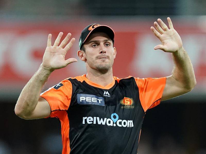 Mitch Marsh's Scorchers form's earned a national recall, with Twenty20 World Cup spots up for grabs.