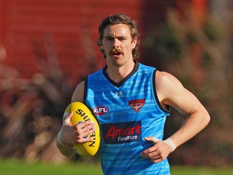 Joe Daniher, a restricted free agent at the end of the 2020 AFL season, has been linked to Brisbane.