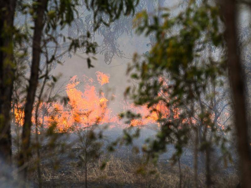 More than 160 firefighters battled 25 blazes across Queensland on Wednesday. (Jono Searle/AAP PHOTOS)