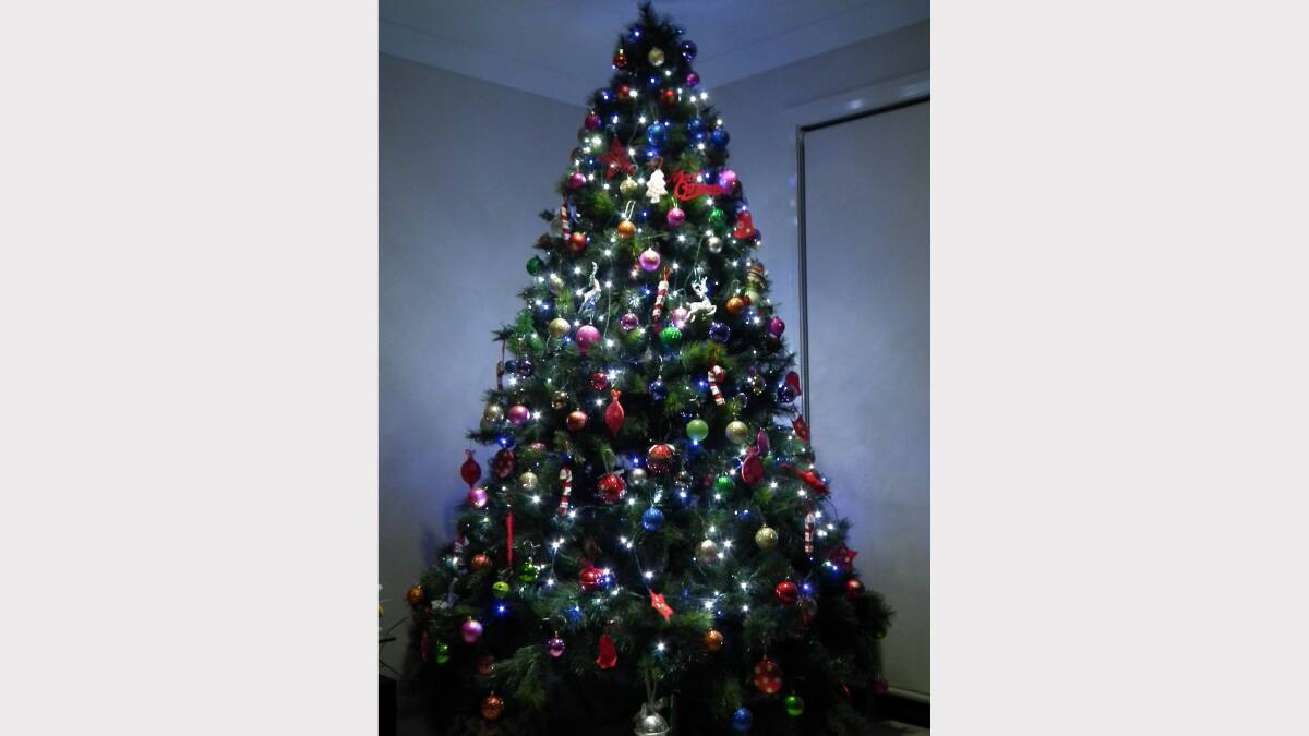 2. HOME: Our First Family Christmas Tree has been entered into the competition by Wendy Propert. Is this the best tree you have seen? Vote below. 