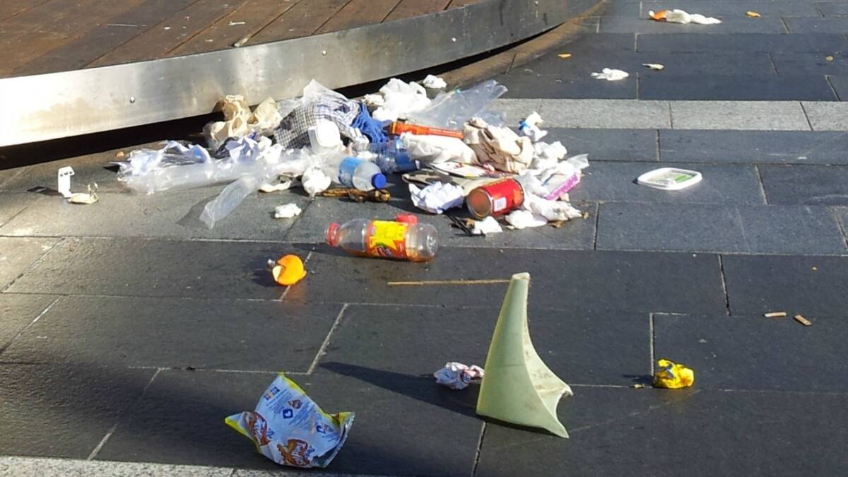 Dubbo City Council's manager environmental control Debbie Archer said the most common fines issued by council rangers were for littering from motor vehicles. File photo