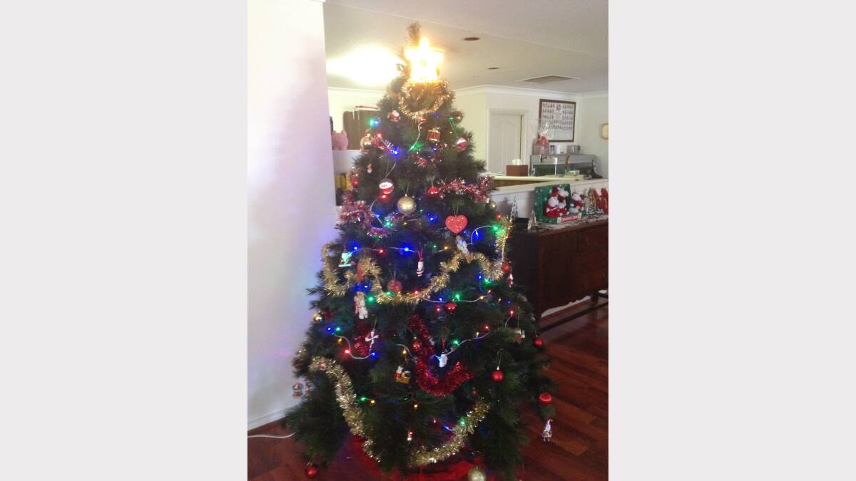 25. HOME: This beautiful tree was sent through by Sonya Berryman. Do you think it is the best tree? Vote below. 