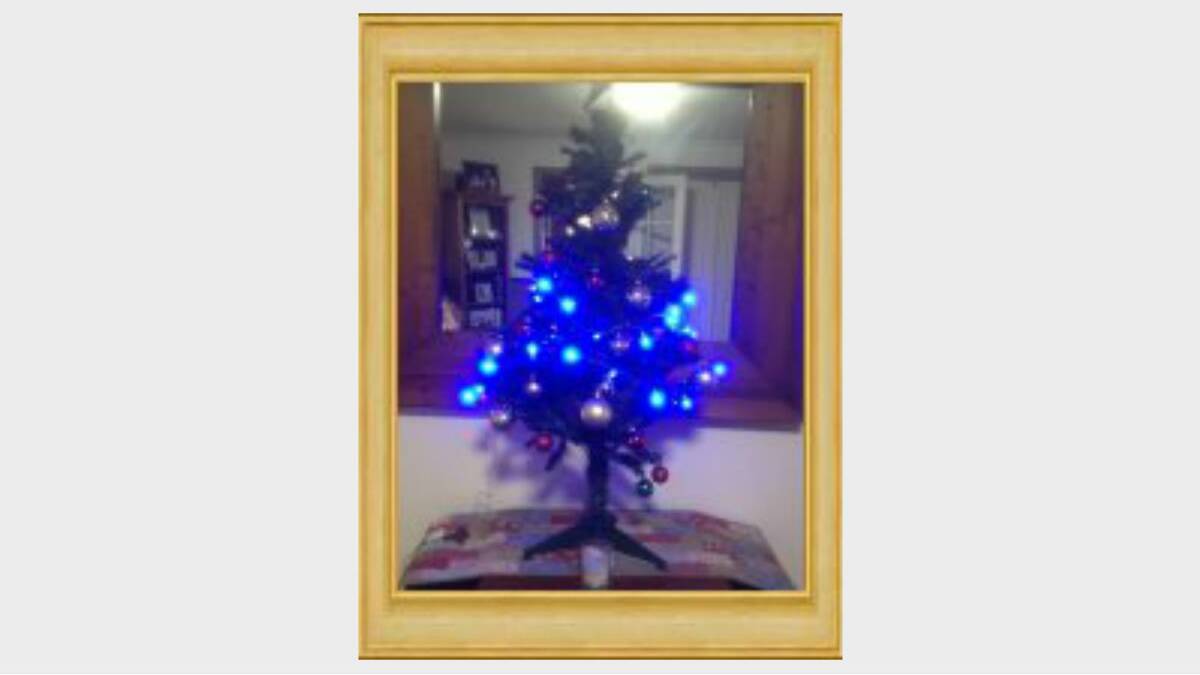 27. 'This tree was sent through by Kerry Klintworth. Kerry says "this is my tree it is very special as it is decorated for my very special grandson Lewis.  It takes pride and joy in my lounge room for all my close friends to adore.  I absolutely love it!" Is it a winner? Vote below. 