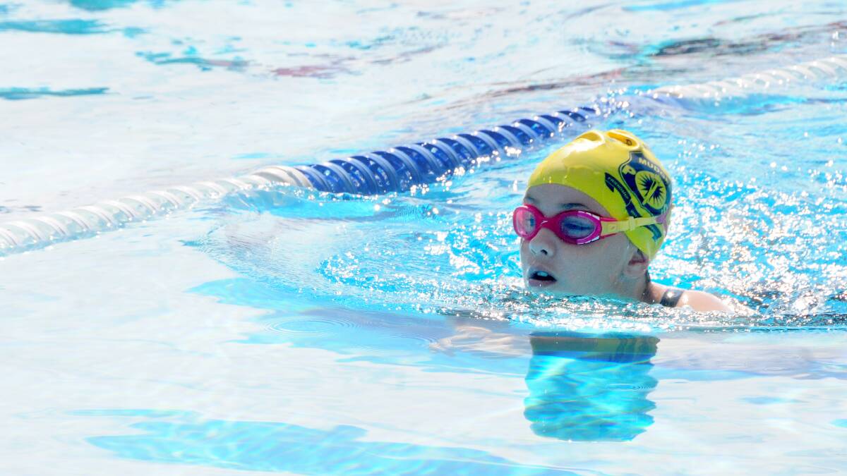WESTERN REGION SWIMMING CARNIVAL: Isabella Shearman from Mudgee competing.