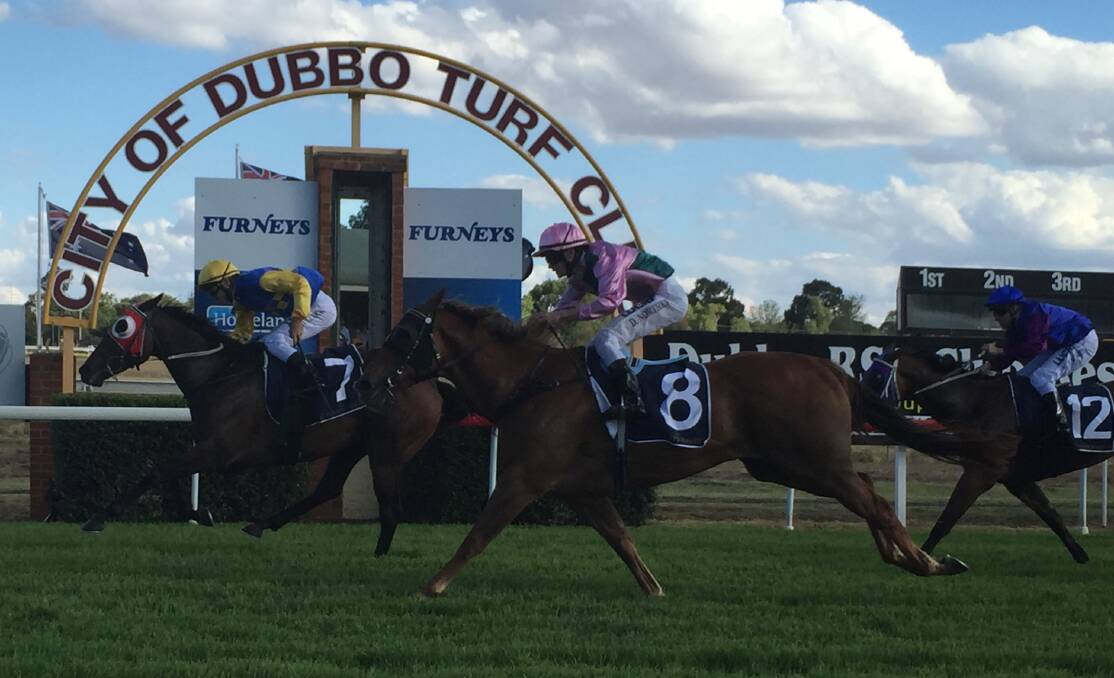 Something Borrowed wins the 2016 Dubbo heat of the Country Championships.