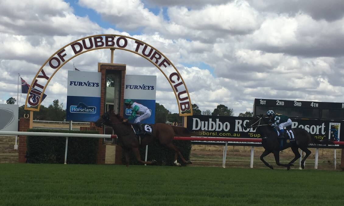 Eccelere wins the opening event at Dubbo.