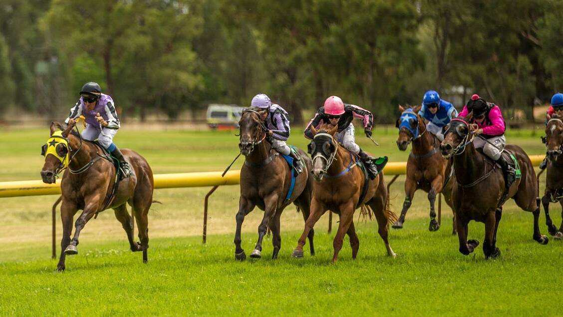 Prettylittlefellow (left) is set to start Sunday's $100,000 Country Championship Qualifier as one of the favourites. Photo: Janian McMillan (www.racingphotography.com.au)
