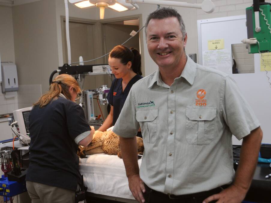 WORTHY CAUSE: Taronga Western Plains Zoo director Steve Hinks says there has been an increase in the workload at the wildlife hospital, especially with koalas. Photo: ORLANDER RUMING