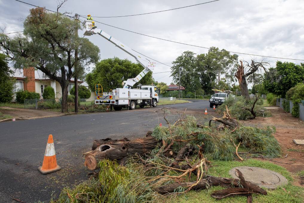 Wild weather in January lead to numerous trees coming down across Dubbo and the surrounding regions. Picture: BELINDA SOOLE