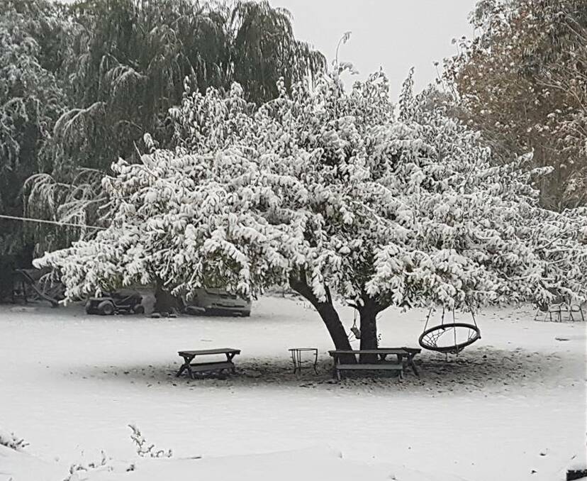 LET IT SNOW, LET IT SHOW: The Bureau of Meteorology has forecast some snow in the Central West for the end of this week. Photo: AJ BARTLE