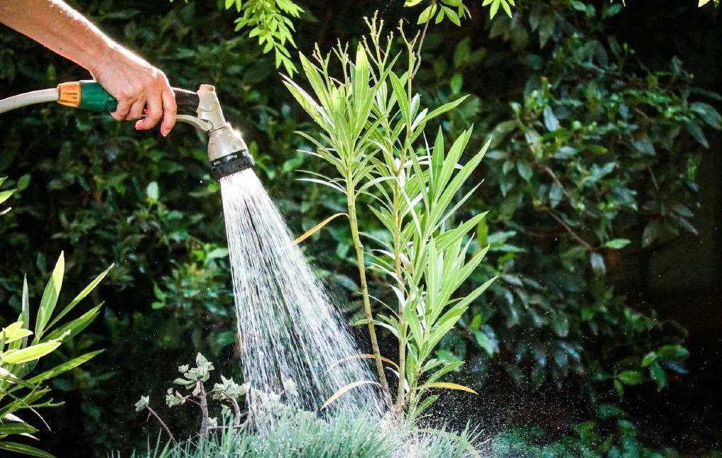 Everything you need to know about level three water restrictions